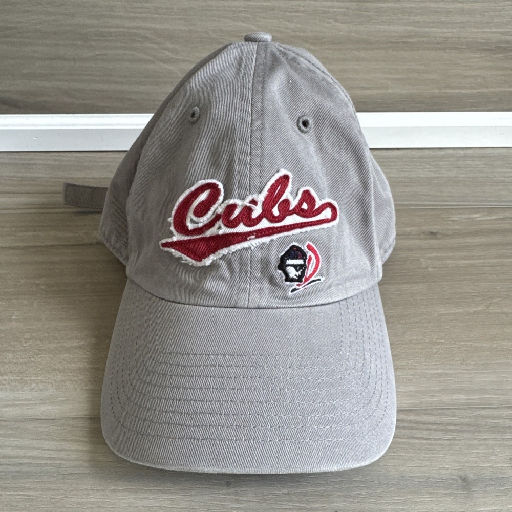 Vintage Daytona Cubs MiLB Baseball Hat Dad Hat Adjustable Strap Grey Exc‎ Cond